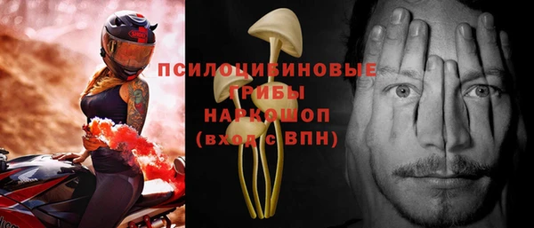 a pvp Богородицк
