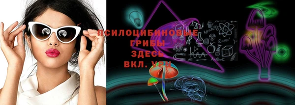 прущая мука Богданович