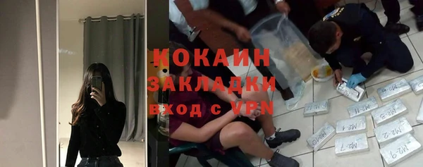 PSILOCYBIN Богородск