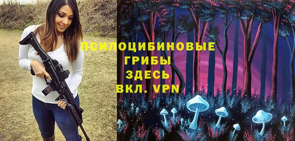 молекула духа Беломорск