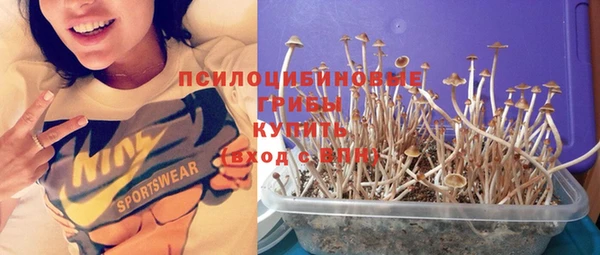бутират Белокуриха