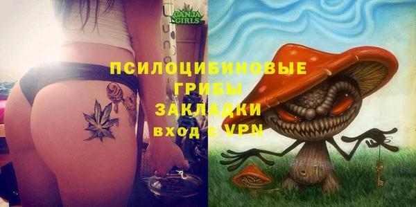 a pvp Богородицк